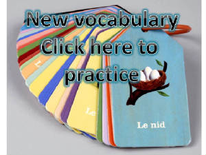 vocab.practice.jpg